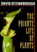 The Private Life of Plants